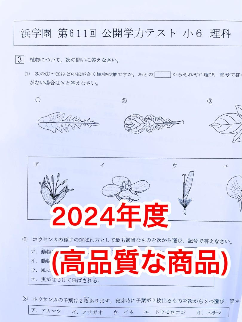 浜学園