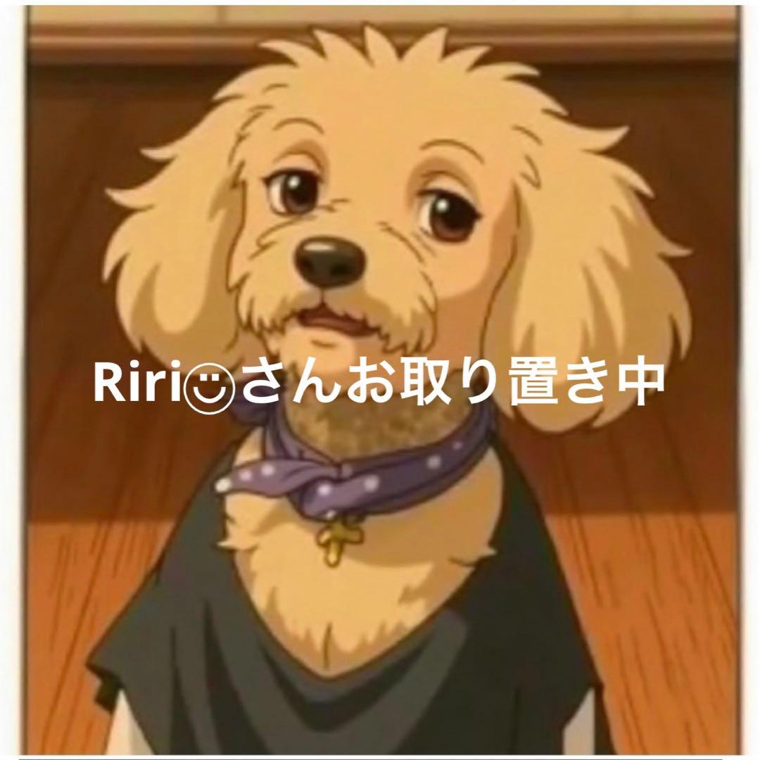 Riri◡̈⃝︎さんご専用
