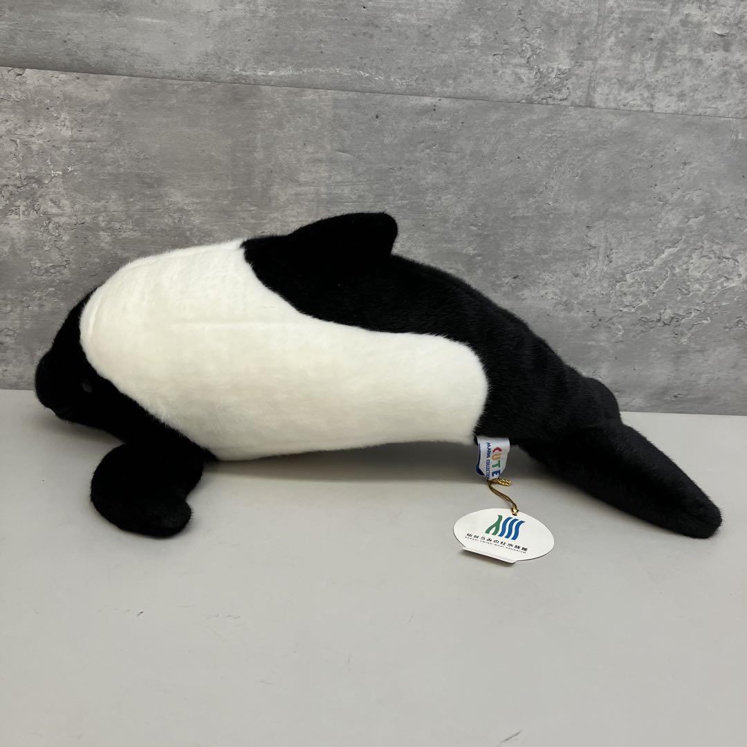 仙台うみの杜水族館 キュート イロワケイルカ ぬいぐるみ グッズ クッション