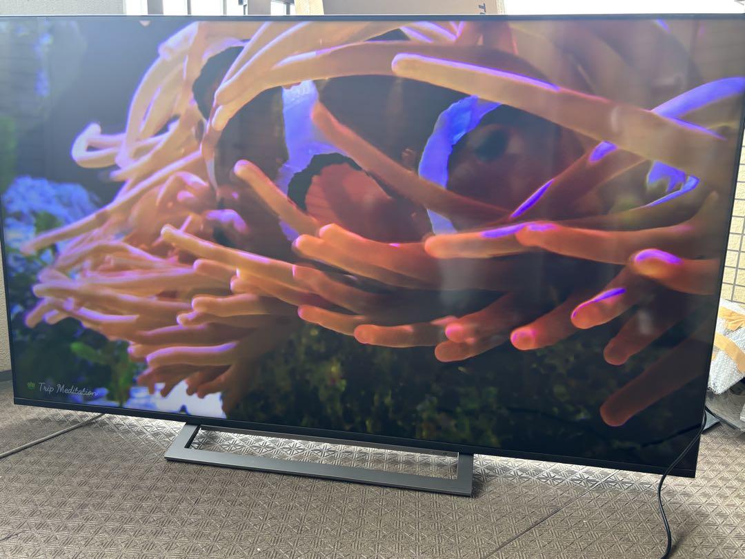 東芝 65インチ 4K 液晶テレビ REGZAレグザ 65M530X 2020年