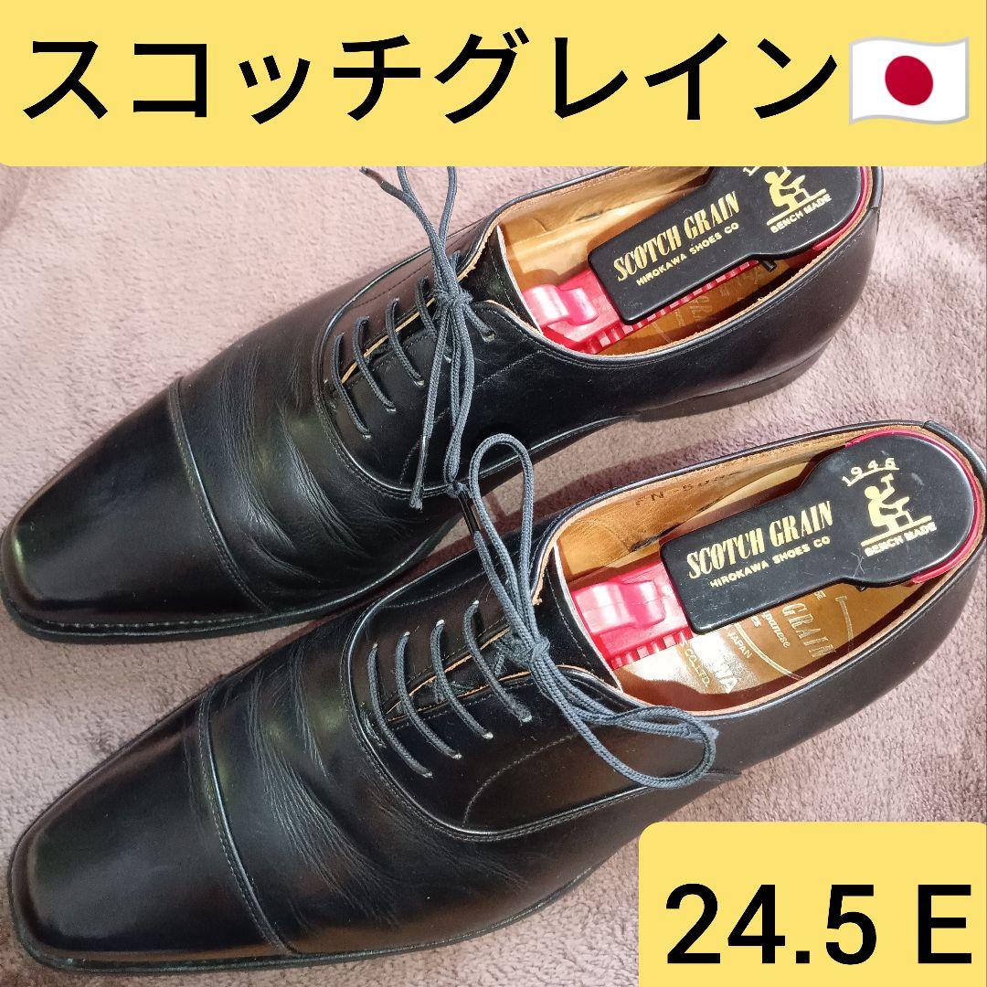 スコッチグレイン ストレートチップ 24.5 SCOTCH GRAIN 内羽根