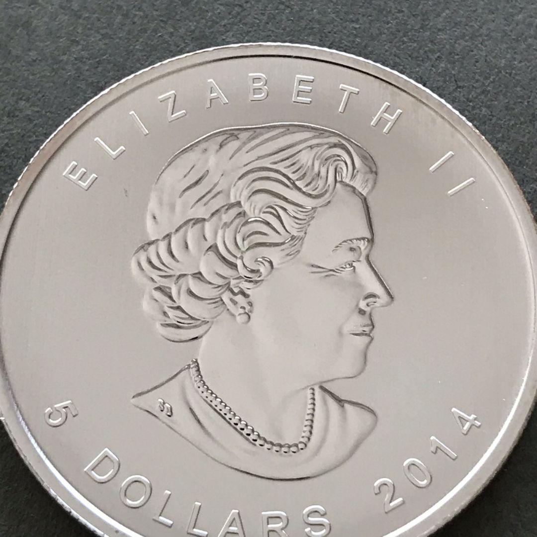 は自分にプチご褒美を 銀貨 20$1oz 宝石で飾られた蜂 カナダ 2017 NGC ER PF70 - 旧貨幣/金貨/銀貨/記念硬貨