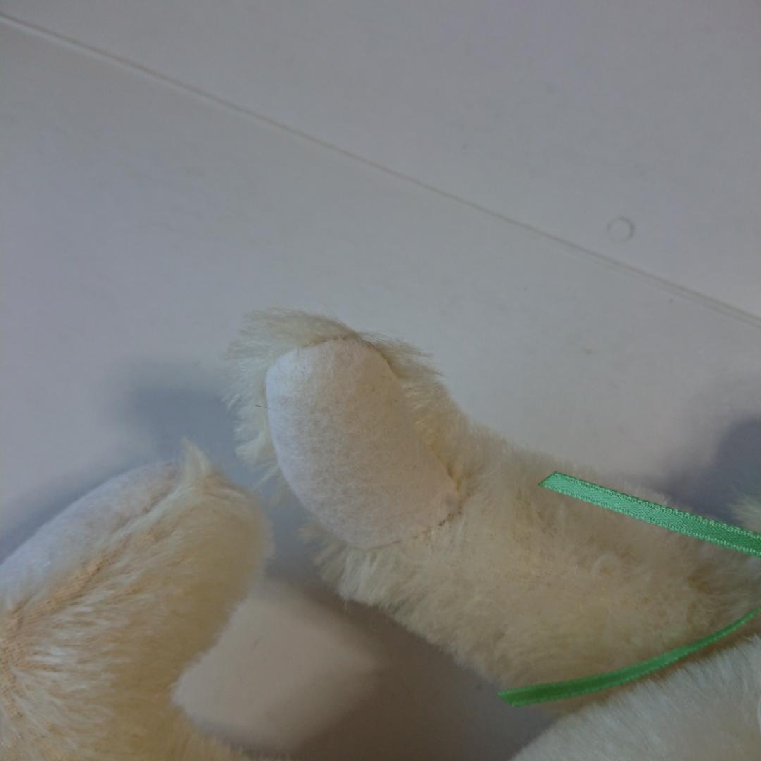 26cm
