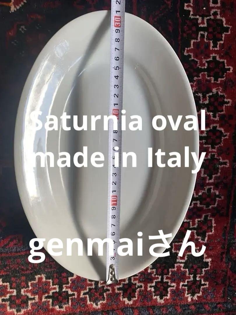 サタルニア　オーバル36cm x2皿　イタリア製