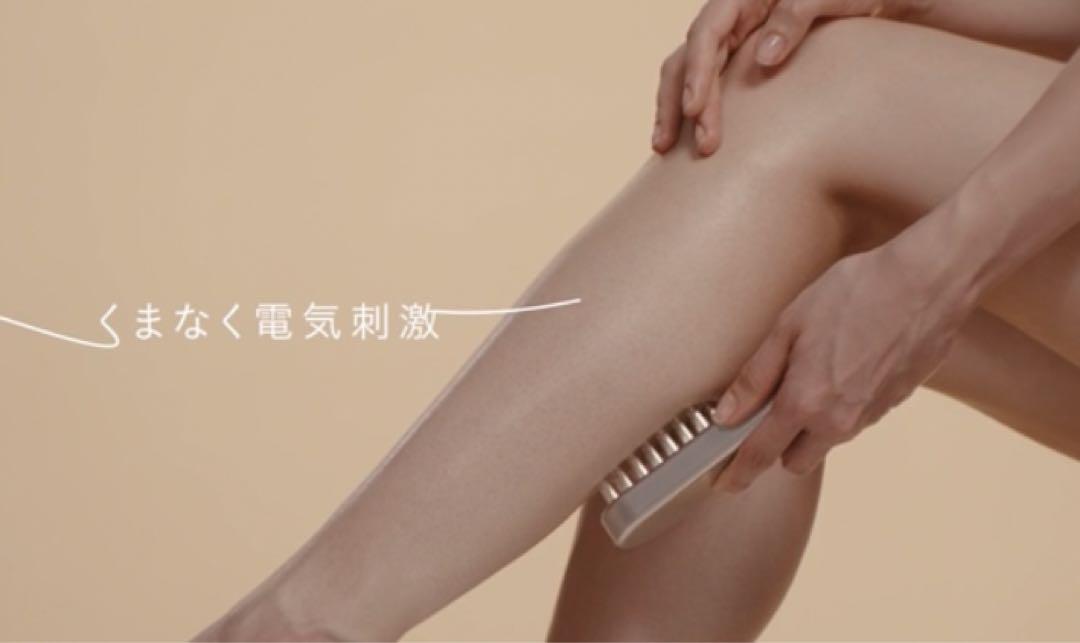⭐︎週末限定お値下げ⭐︎SALONIA EMSリフトブラシ