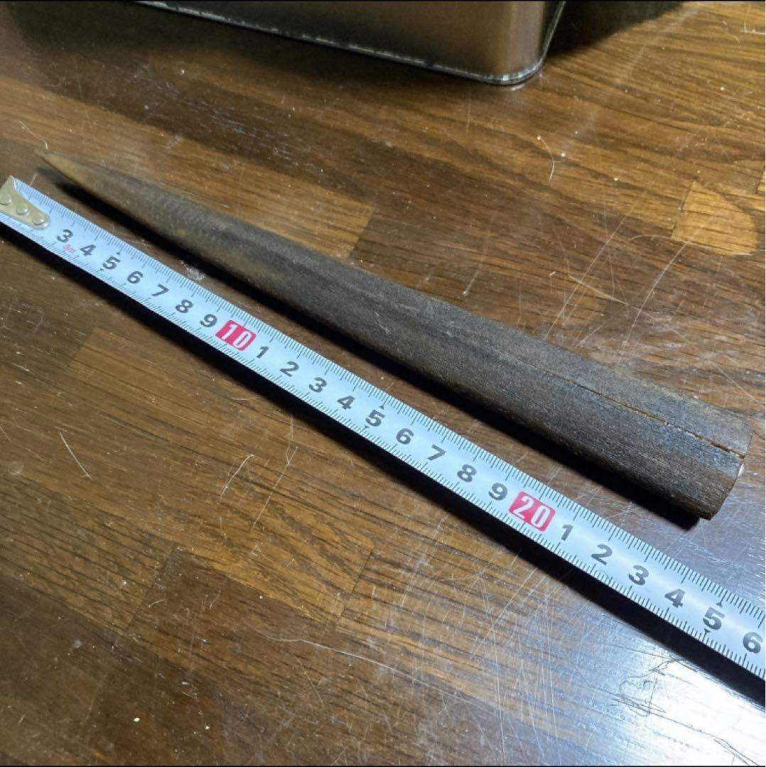 日本最高峰の巨大魚【クロカワカジキ】