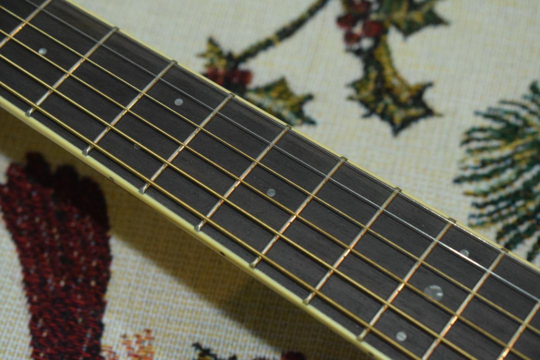 YAMAHA LL6 エレアコ【純正ケース付き】