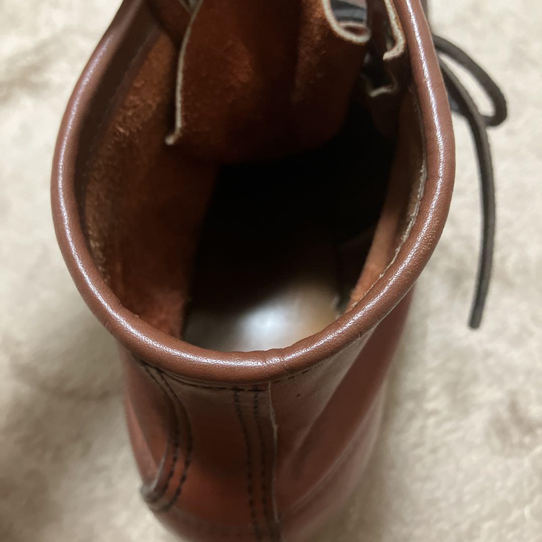 875アイリッシュセッター