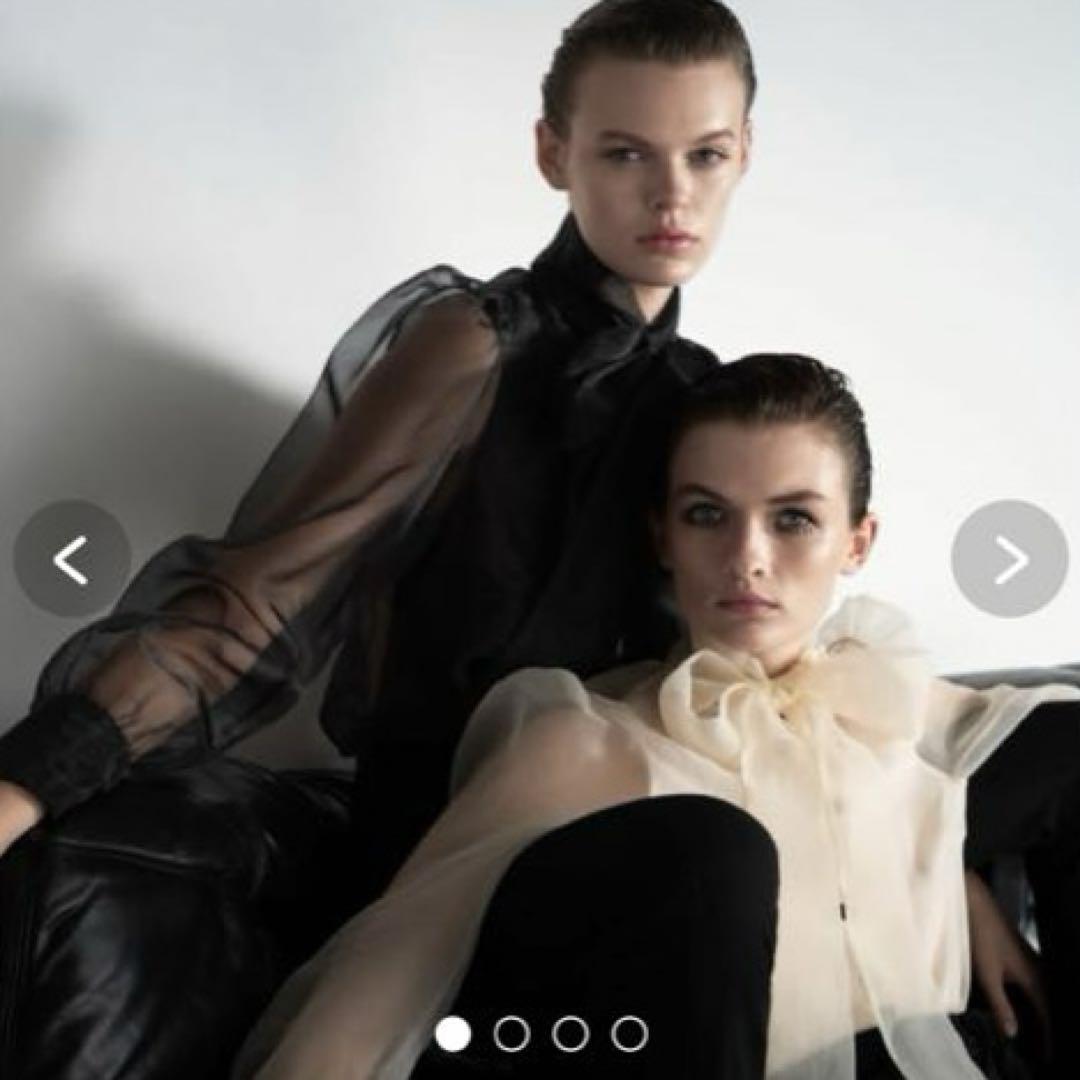 専用です！ZARA オーガンジーリボン付きワンピース 長袖 透け感