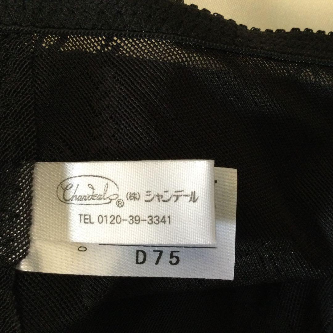 シャンデール　ロングボディースーツ　D75