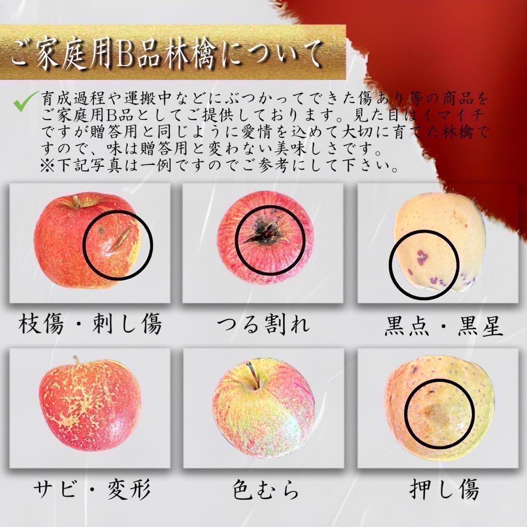 青森県産 ＂ 星の金貨 ＂ りんご 家庭用 10kg 農家直送 リンゴ 林檎