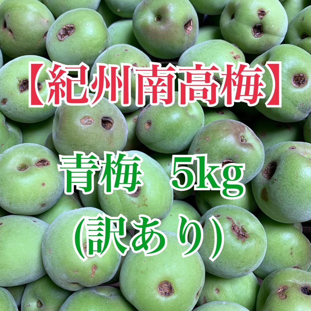 紀州南高梅　青梅　訳あり　2L・3L　5kg　送料込み 5,600円
