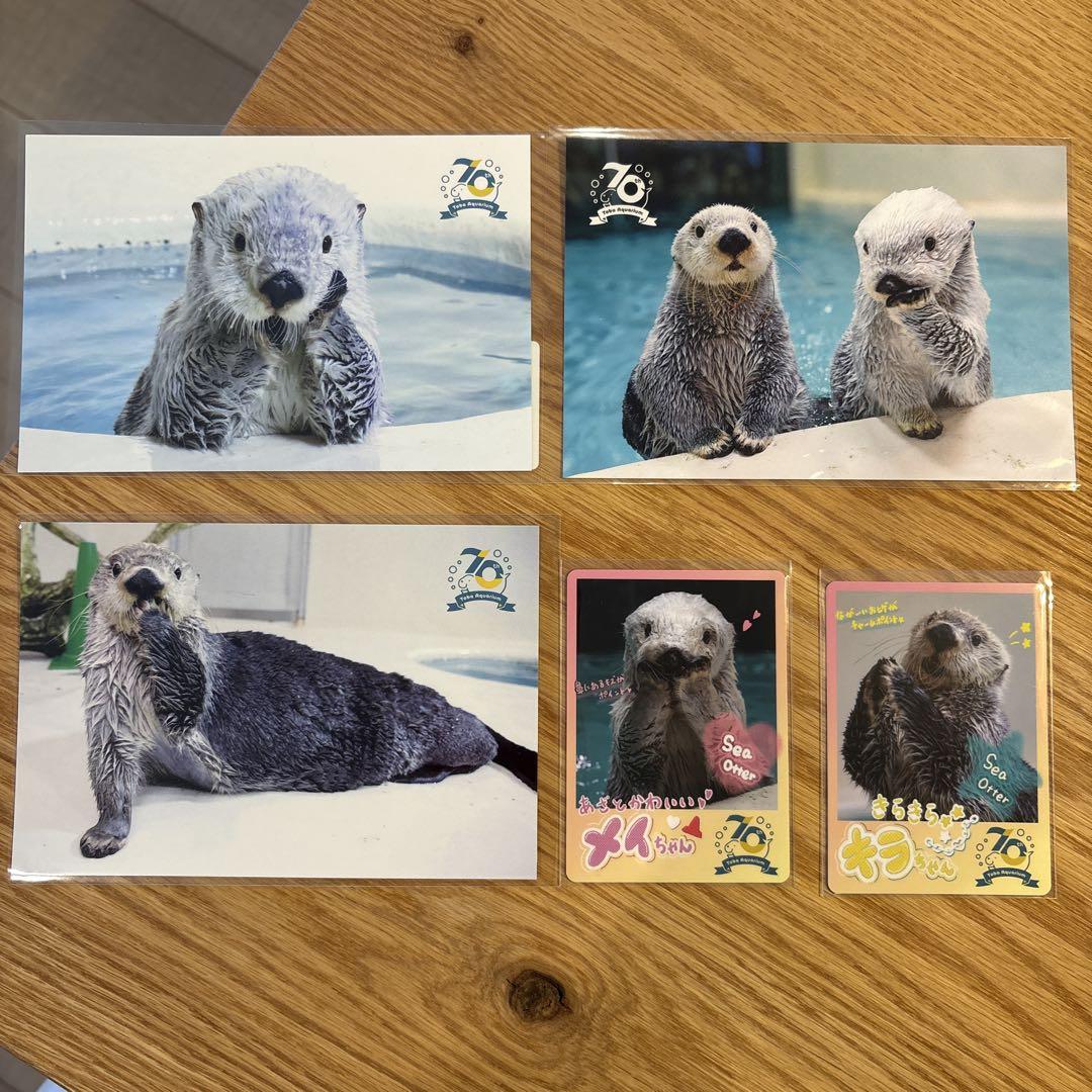 鳥羽水族館 70周記念 ラッコグッズ - メルカリ