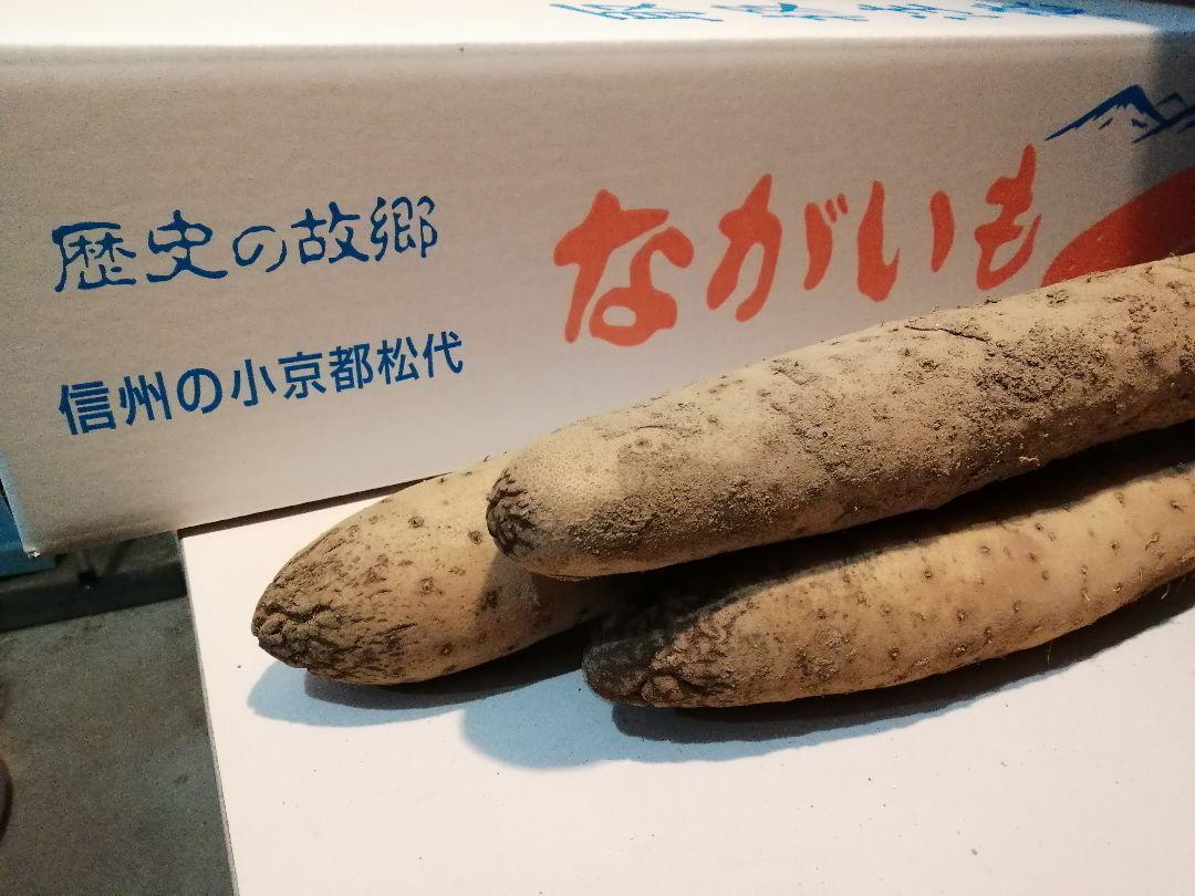 大容量 採算度外視 長芋 10キロ 残りわずか お試し 贈答 長芋 10キロ 残りわずか お買い得の通販 by バタヌ's shop｜ラクマ