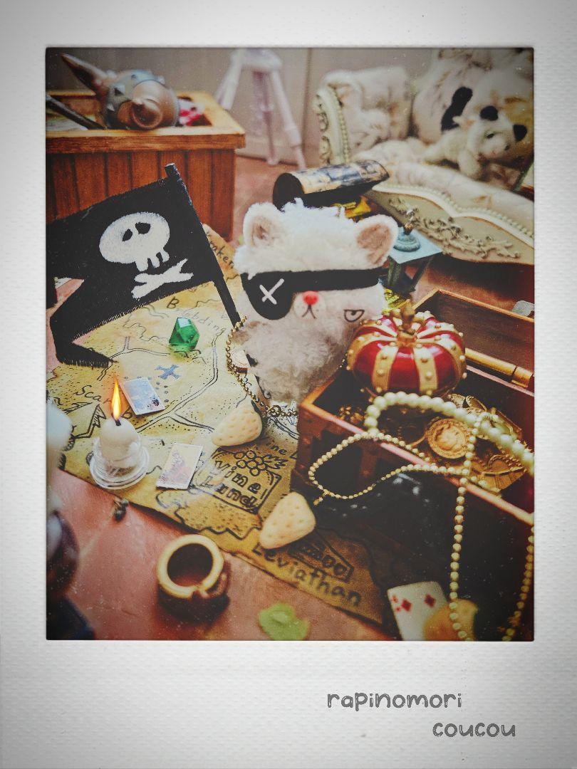 C 海賊コーデとデブニャンセット
