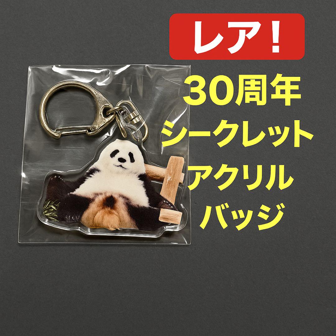 彩浜 アドベンチャーワールド　30周年アクリルバッジ レア　シークレット②