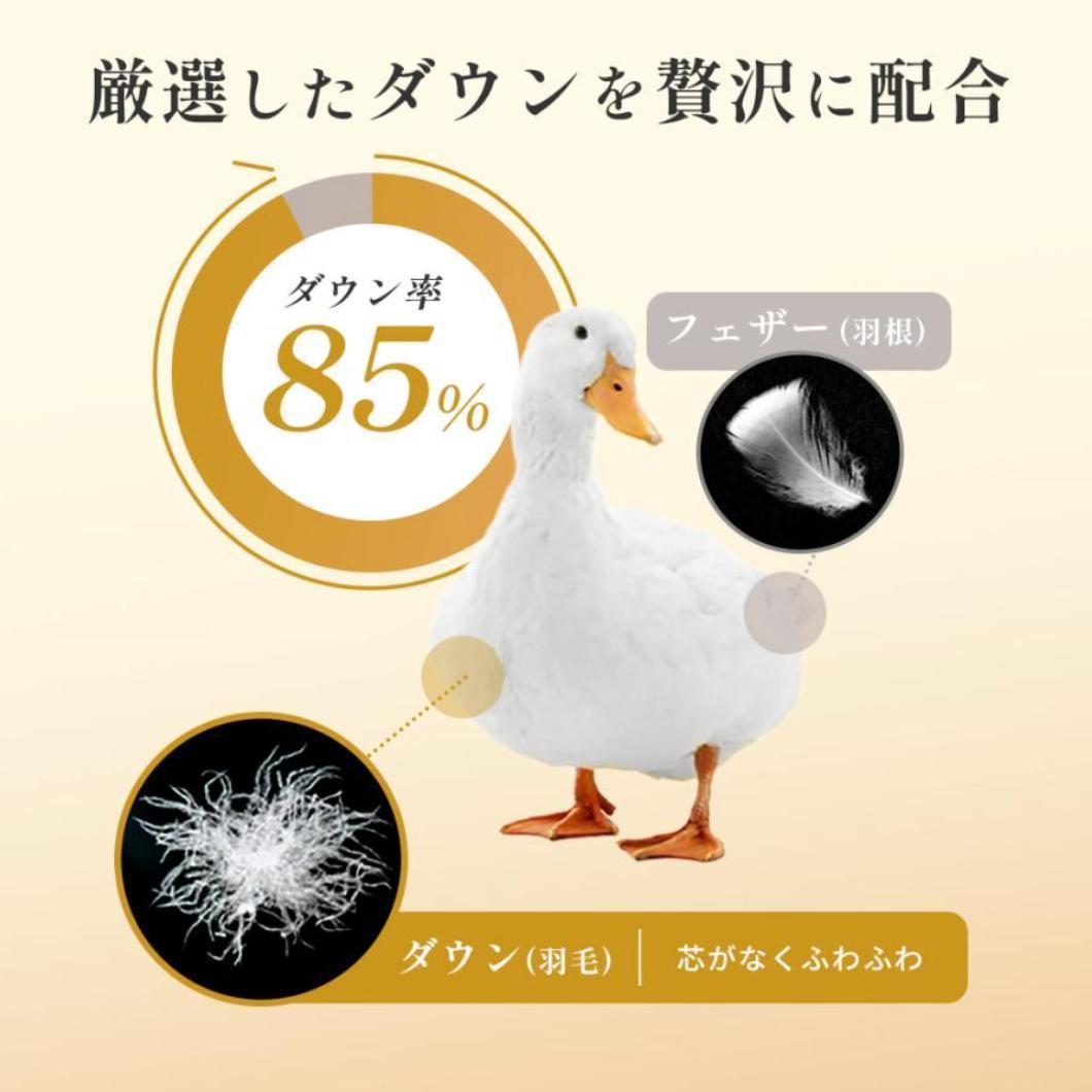昭和西川