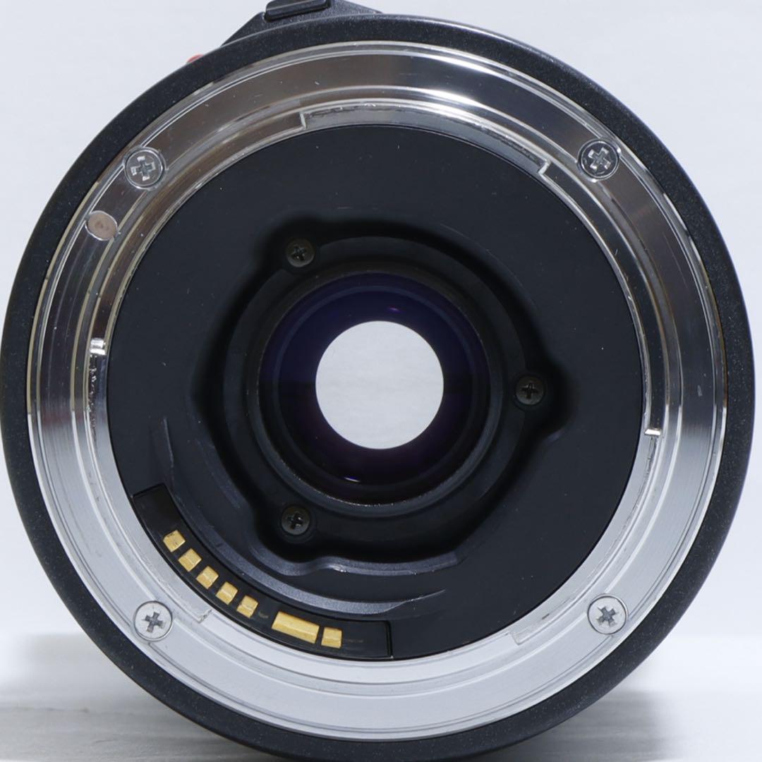 ◇大迫力300mm超望遠◇ TAMRON 100-300mm for Canon - メルカリ