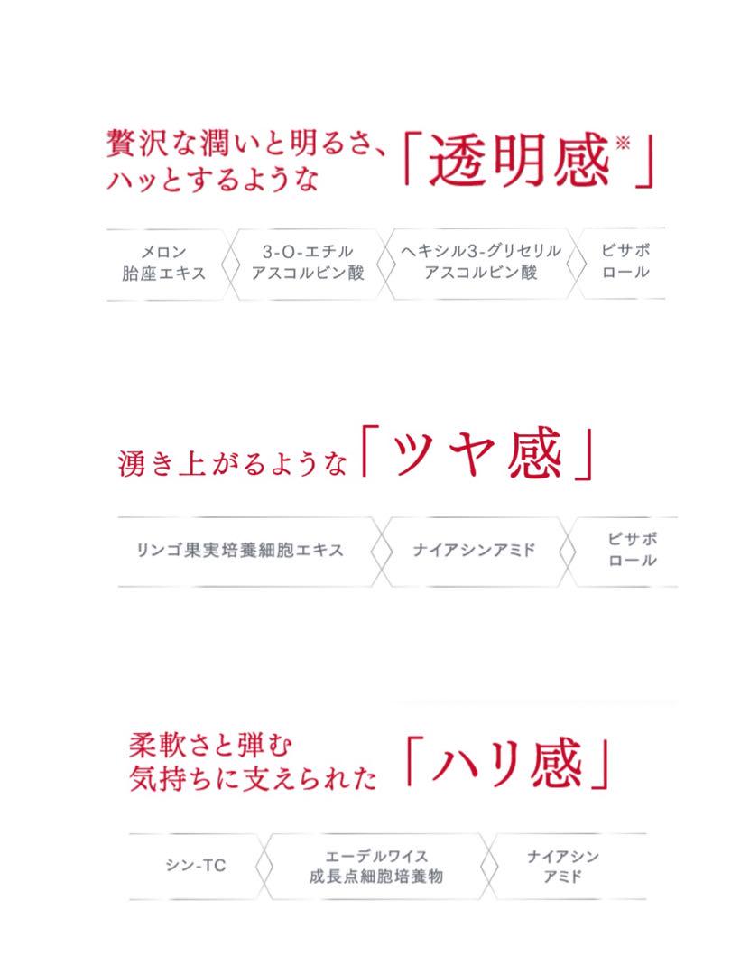 エニシー グローパック 10枚入り 正規品