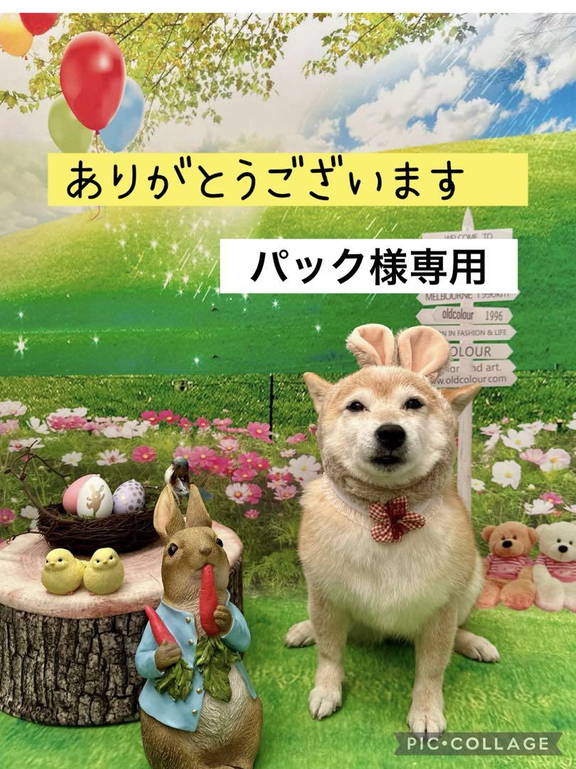 パック様専用　ポーチ　パネル生地