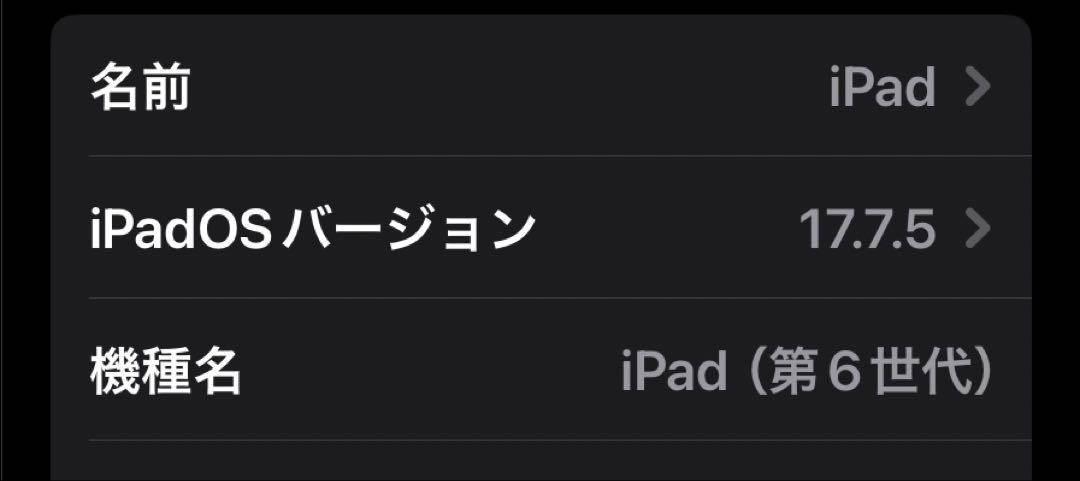 iPad 第6世代 本体 WiFi 36GB