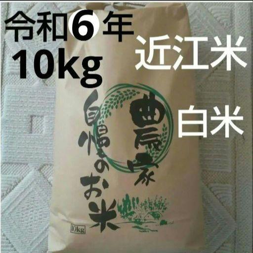 近江米 白米 10kg 令和6年産