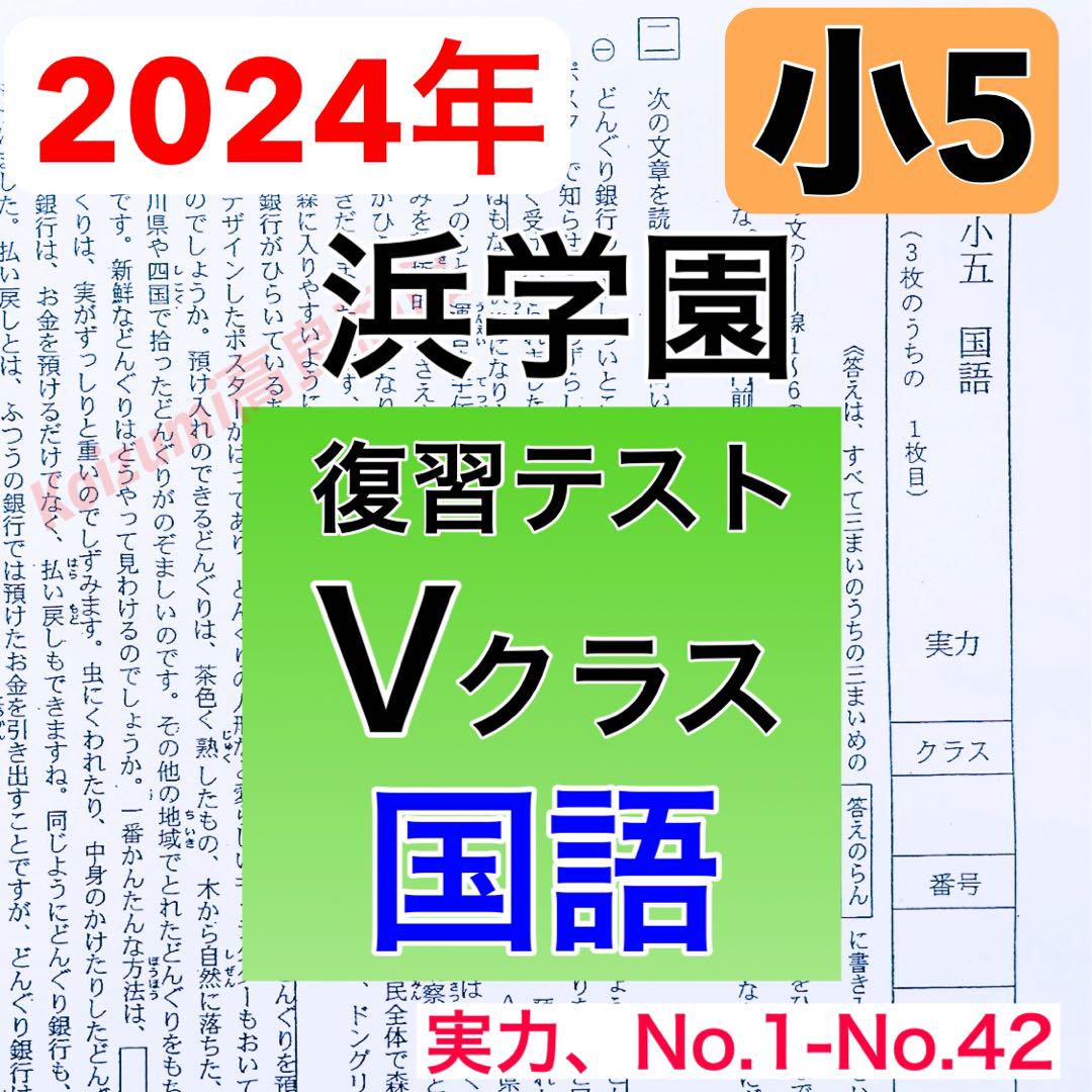 浜学園　小5　国語　フルセット　Vクラス　復習テスト　テキスト　公開テスト 浜学園 小5 国語 フルセット Vクラス 復習テスト テキスト 公開