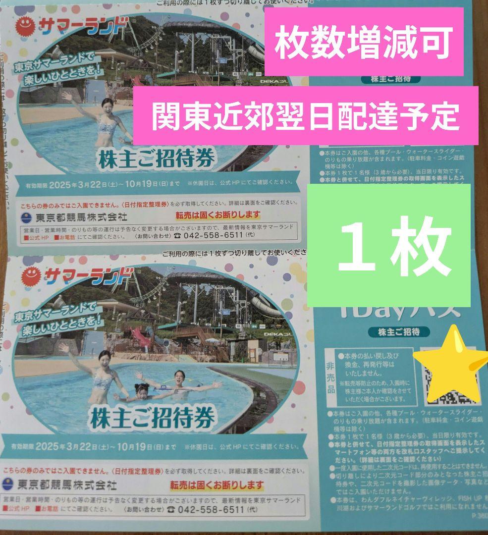 東京サマーランド　招待券　8枚 東京サマーランド 株主ご招待券✖️8枚 遊園地・テーマパーク