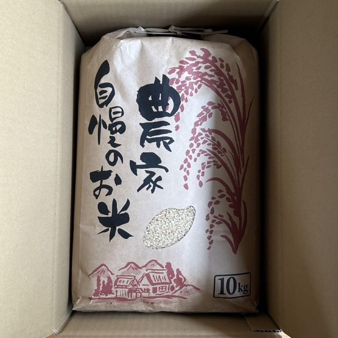 ササニシキ　令和6年産　玄米　10kg