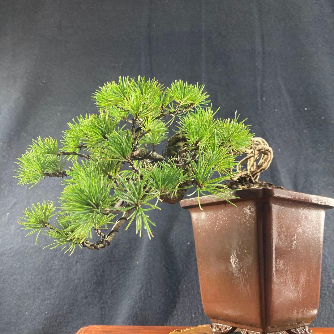 目立った傷汚れなし目立った傷や汚れなし