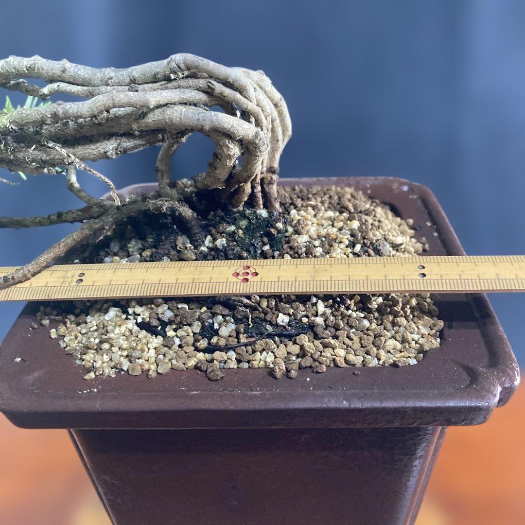 目立った傷汚れなし目立った傷や汚れなし