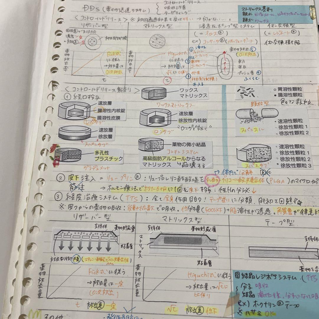 薬ゼミの要点集 6 薬剤 2019(ゴロ、ヒント多数) - メルカリ