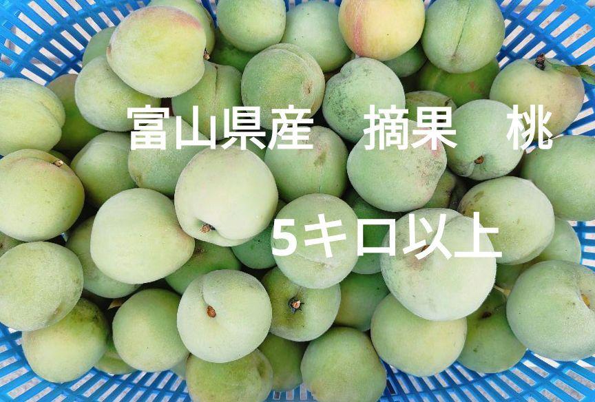 加工用山梨県産 摘果桃(若桃) 12kg 山梨県産 摘果桃 若桃 箱込み約 5.5kg - メルカリ