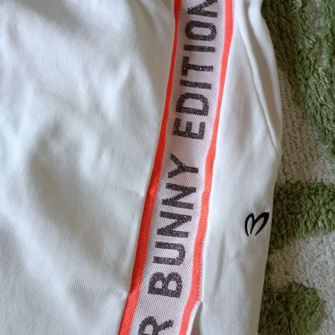 MASTER BUNNY EDITION セットアップ