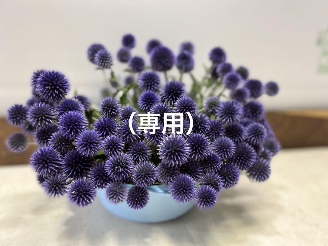 ベッチーズブルー⭐︎瑠璃玉アザミ　120本