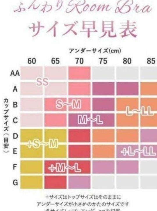 ふんわりルームブラ