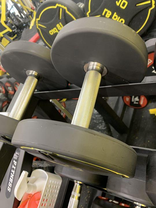 TPUダンベル　　50kg 2個