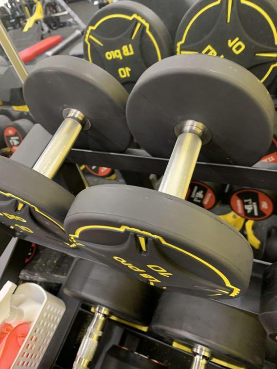 TPUダンベル　　50kg 2個