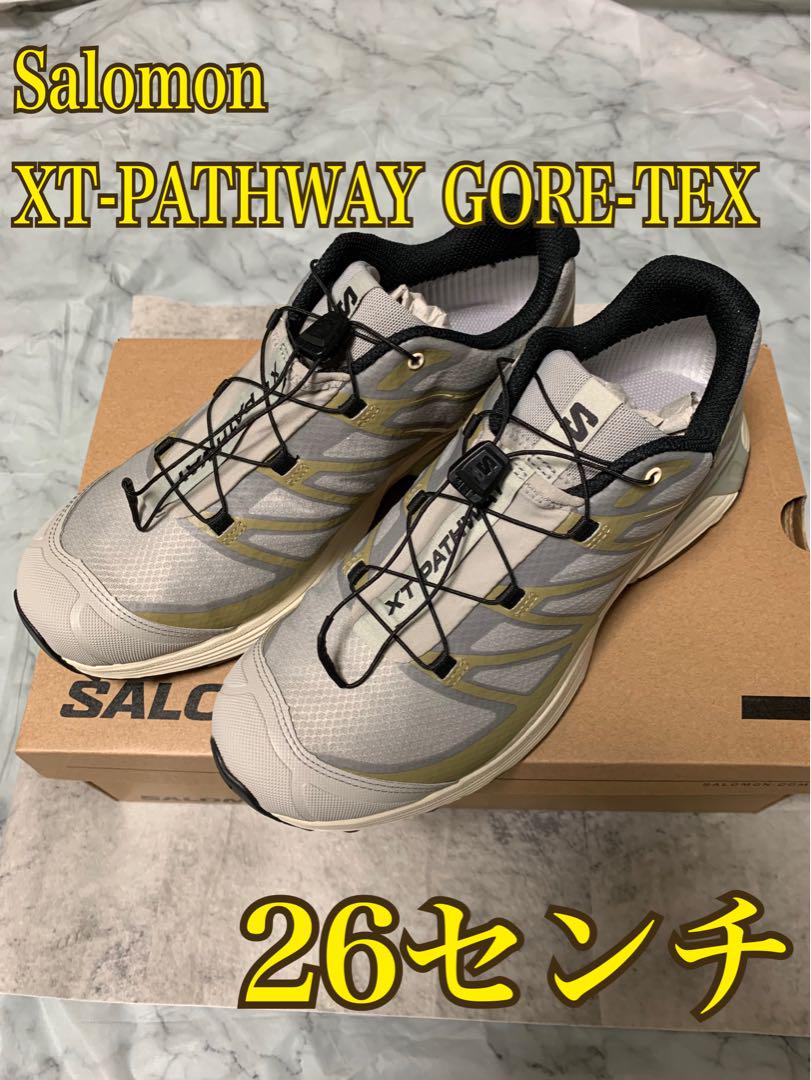 【美品】Salomon XT-PATHWAY GORE-TEX 26センチ