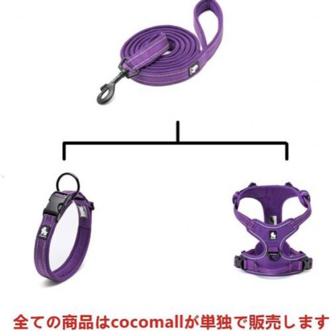 小型訓練リード