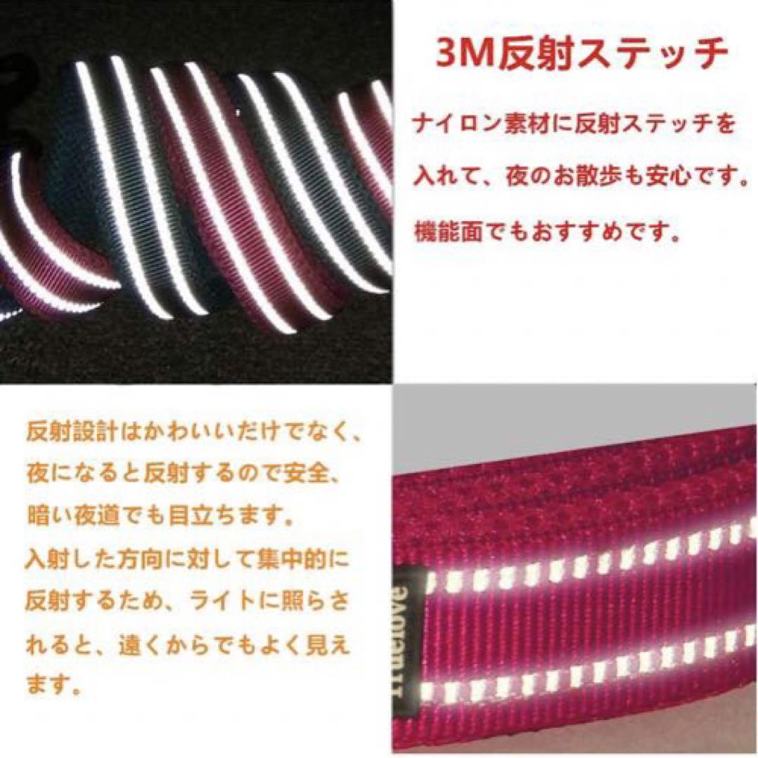 犬用リード 小型訓練リード