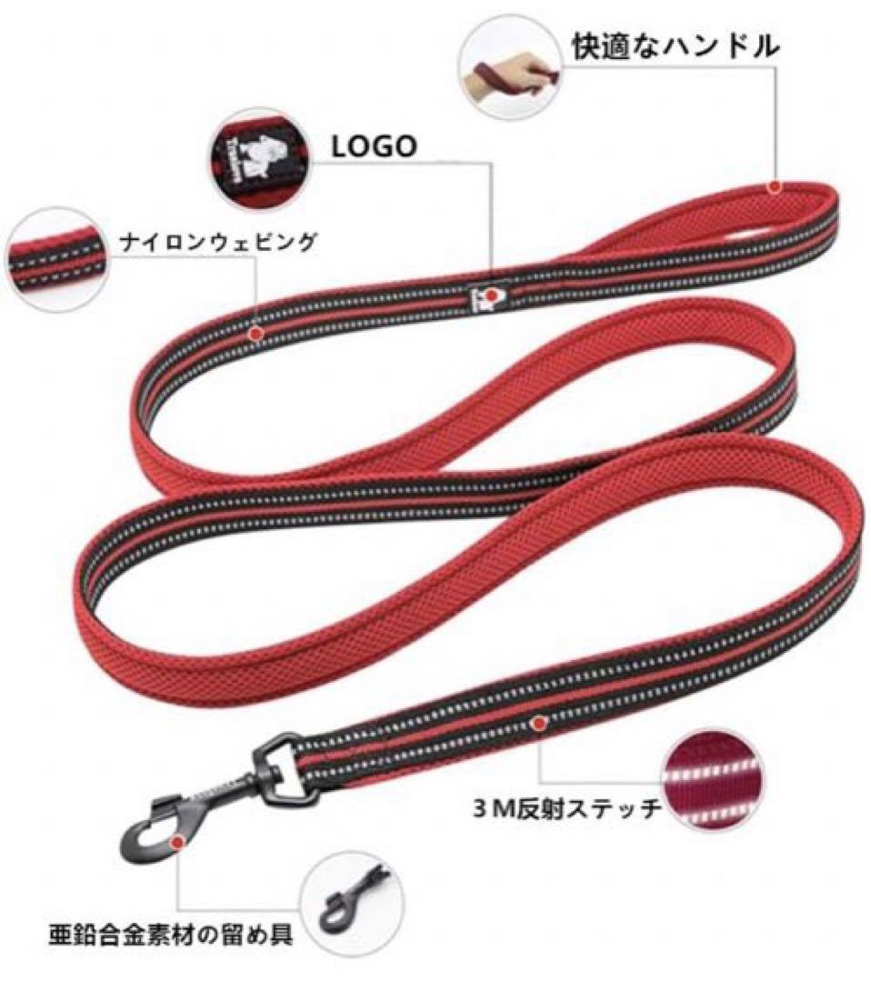 小型訓練リード