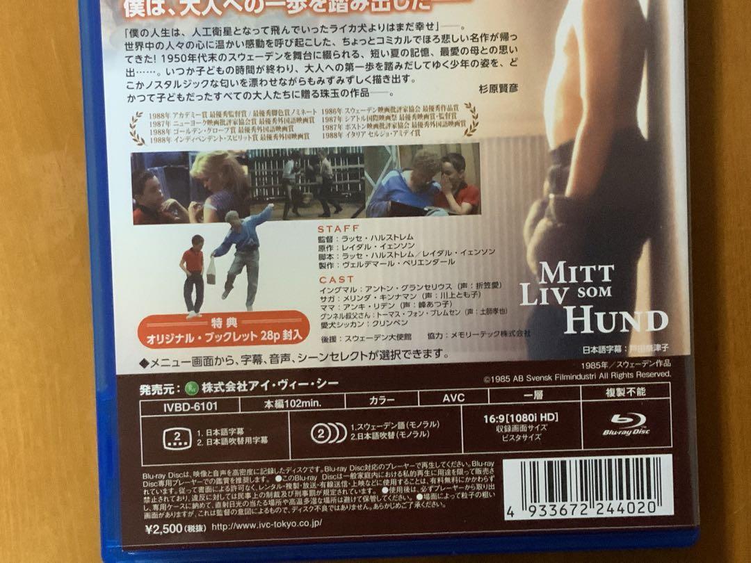 マイライフ・アズ・ア・ドッグ 【HDマスター】 [Blu-ray] セル品