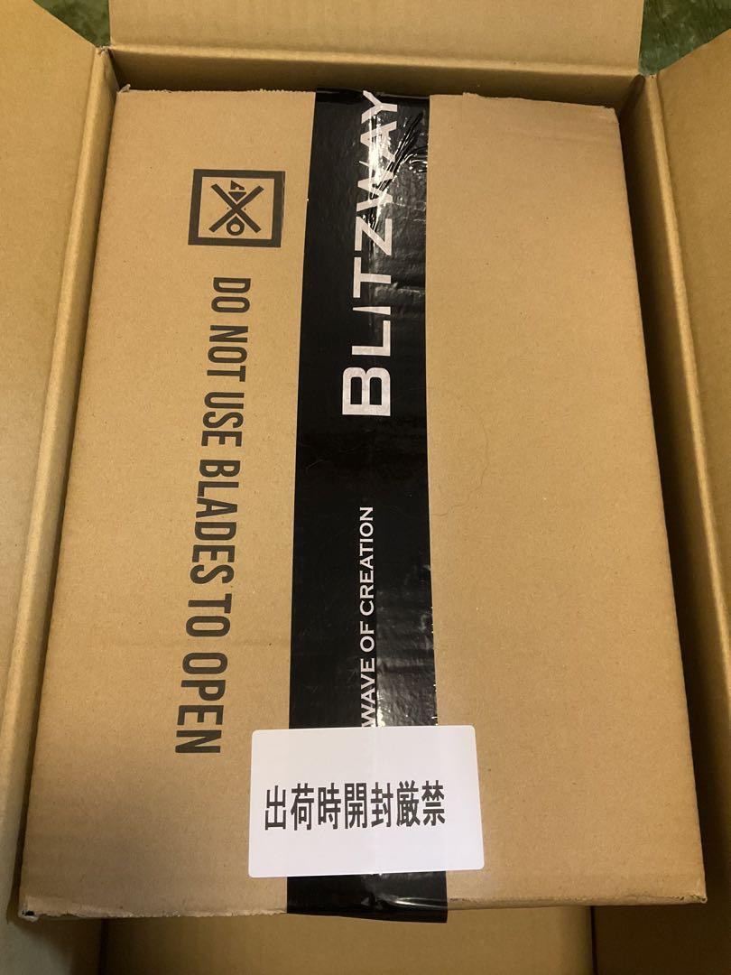 BLITZWAY カート・コバーン  1/6 予約特典付き