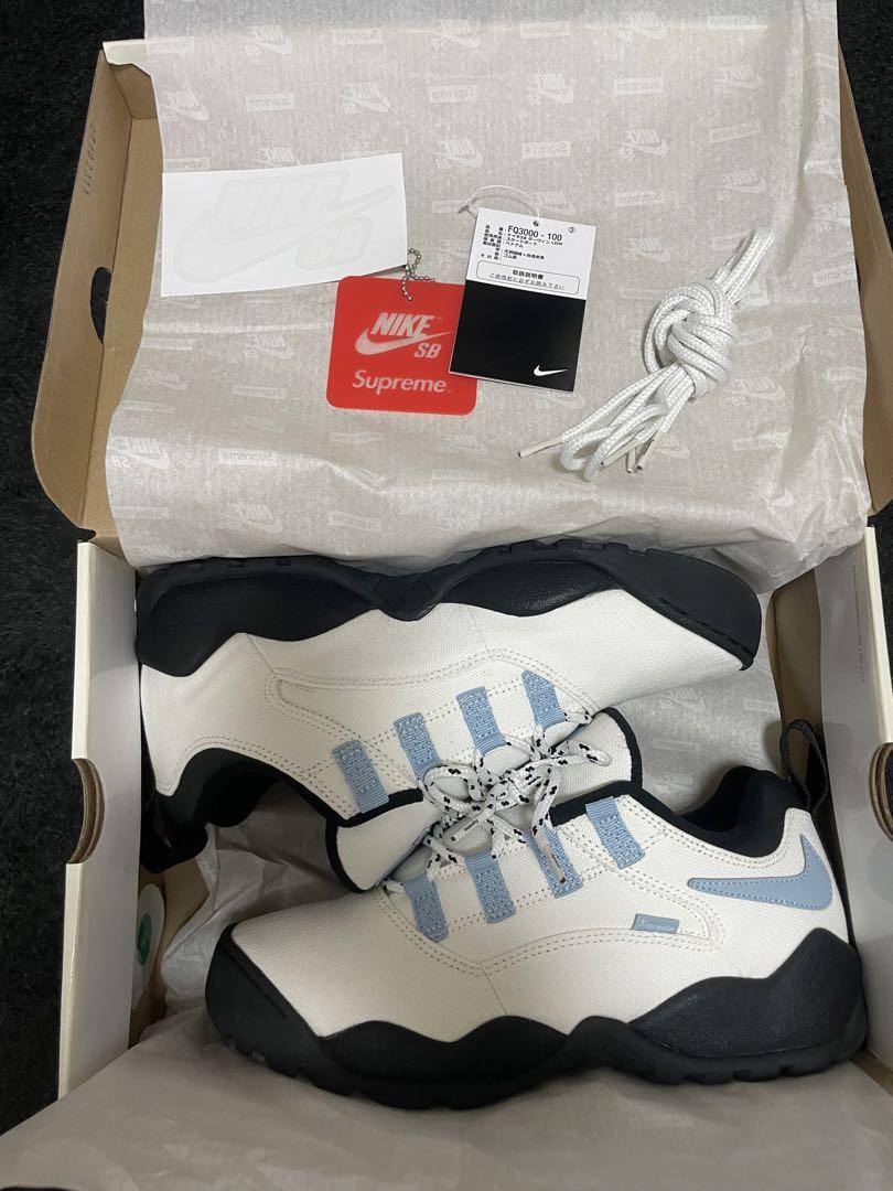 まる様専用 Supreme × Nike SB Darwin Low 画像11