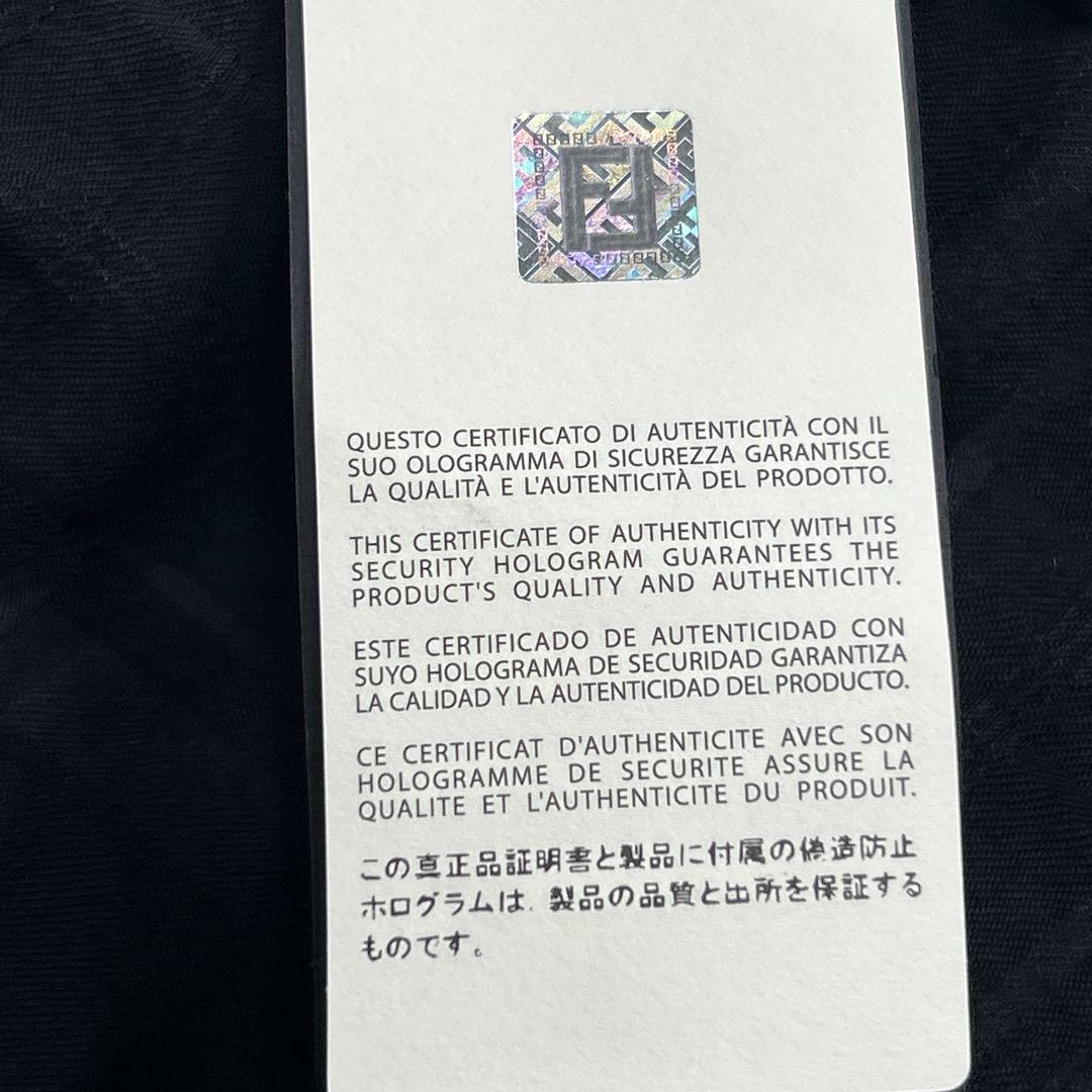 FENDI /フェンディ/シースルーチェックパンツ 46 M シルク混
