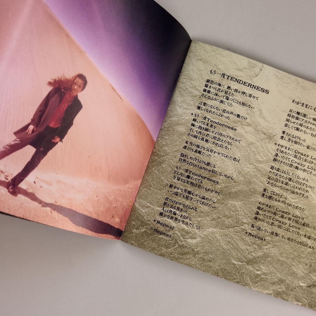 AOR 紙ジャケットCD ニュー・キック! AOR 紙ジャケットCD ニュー・キック!