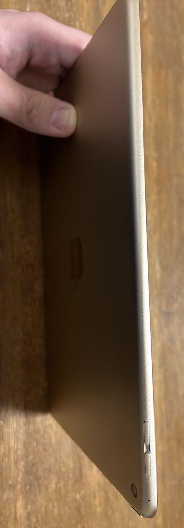 Apple iPad Air 2 Wi-Fi 64GB Gold 本体