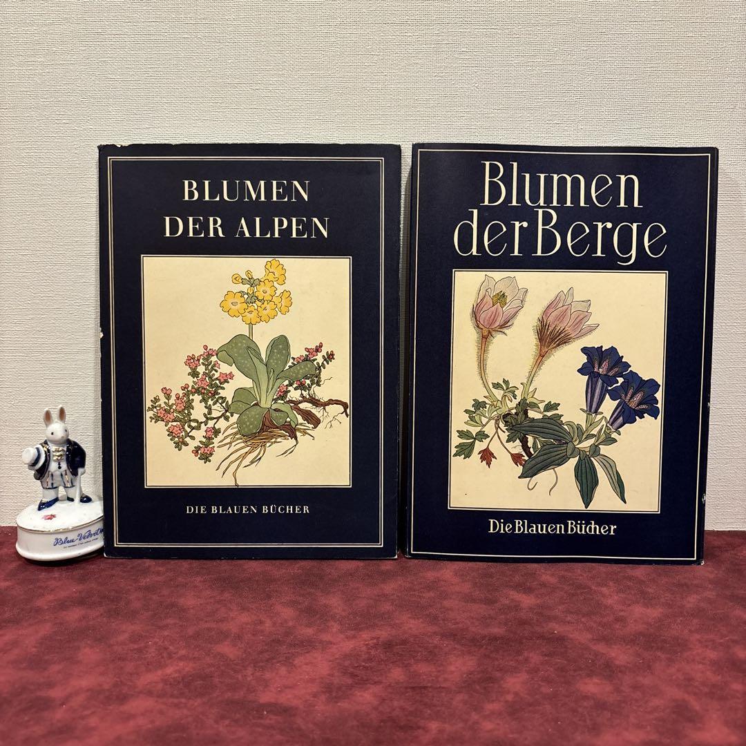 【希少】美品 フランス植物図鑑　洋書　古書 81B④ドイツビンテージ植物図鑑 植物絵 洋書古書 ジャンク