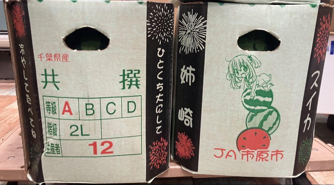 千葉県産 姉崎スイカ 2L 2個 15キロ西瓜 すいか スイカ 千葉県産 姉崎スイカ 2L 15キロ 2個 西瓜 すいか スイカ - メルカリ